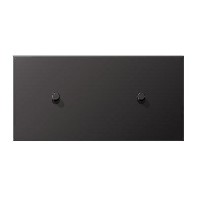 Центральная плата, 2 поста, для горизонтальной установки, тумблеры 1+1,цилиндр; металлическое исполнение; Dark; серия LS, AL12-200DR01