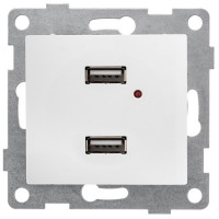 GUSI Bravo МЕХАНИЗМ розетки USB, двойной, скрытая установка. Цвет белый., С10USB2-001