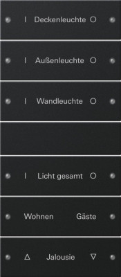 2206005 Gira Набор клавиш 6-клав. (3+3),  ГРАВИРОВКА