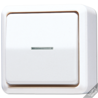 Выключатель контрольный для накладного монтажа, 606KO5A