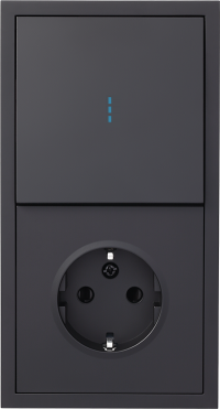 Блок на 2 поста - Выключатель 1-клавишный с подсветкой и Розетка электрическая, Rikett, серия Standart, цвет Черный сатин