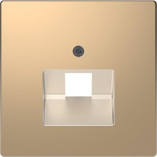 D-Life Накладка для розетки 1-ной RJ45, шампань