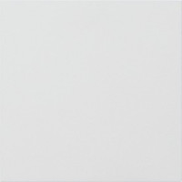 5554902 Gira Информационный модуль или модуль-заглушка 4-м. System 106