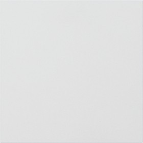 5554902 Gira Информационный модуль или модуль-заглушка 4-м. System 106