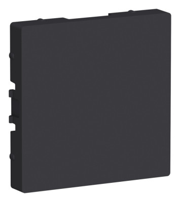 ATN001009 - ATLASDESIGN ЗАГЛУШКА без суппорта для многопостовых рамок, КАРБОН, Systeme Electric