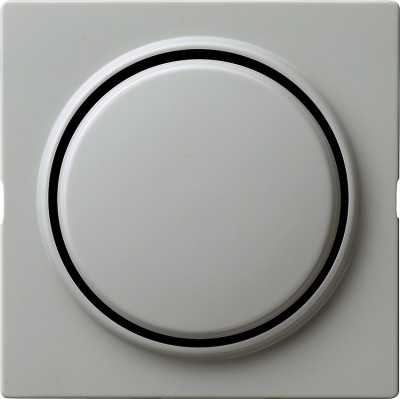 029642 Gira Клавиша одинарная