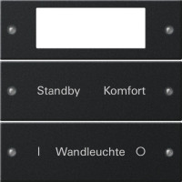 2212005 Gira Набор клавиш 2-клав. Plus, ГРАВИРОВКА 2212005 Gira Набор клавиш 2-клав. Plus, ГРАВИРОВКА
