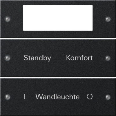 2212005 Gira Набор клавиш 2-клав. Plus,  ГРАВИРОВКА