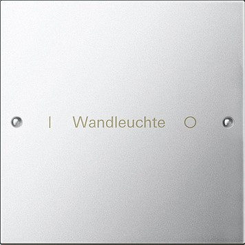 2131610 Gira Комплект клавиш, 1 шт. ГРАВИРОВКА