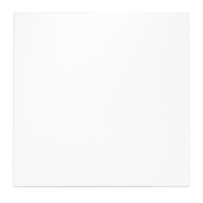 Клавиша для выключателя/переключателя одноклавишного, S70 (белый матовый), VLS000102