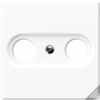 Крышка для TV-FM-розеток, фиксация винтом; дюропласт; шампань; A500, A561PLTVCH