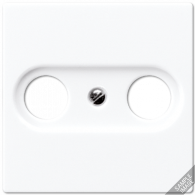 Крышка для TV-FM-розеток, фиксация винтом; дюропласт; шампань; A500, A561PLTVCH