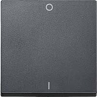 SM Клавиша 1-ная символом "Свет", антрацит