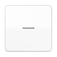 Одинарная клавиша с окошком для балансирных механизмов выключателей (кнопок), в комплекте с CD90HP (крепежный элемент), возможно IP44; дюропласт; белый; CD500, CD590KO5WW