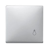 SD Клавиша 1-ная с символом "Свет", алюм.