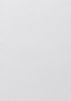 108500 Gira Листы с полями для надписей