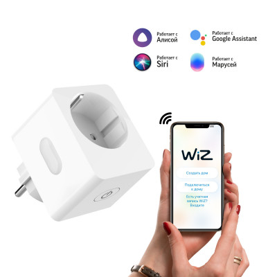 Сетевой переходник (Умная розетка) Gauss Smart Home 2300W 207-253V 10А IP20 c заземлением 1/6, 5510122
