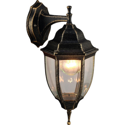 Arte Lamp PEGASUS, Светильник уличный архитектурный, цвет арматуры - ЧЕРНО-ЗОЛОТОЙ, цвет плафона/декора - ПРОЗРАЧНЫЙ, 1х60W E27, A3152AL-1BN