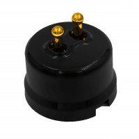 Bironi Кнопка (двухтумблерная), пластик, цвет Черный, Золото, B1-232-23-G-PB Bironi Кнопка (двухтумблерная), пластик, цвет Черный, Золото, B1-232-23-G-PB