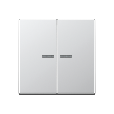 Двойная клавиша с окошками для балансирных механизмов выключателей (кнопок), в комплекте с AS90-5HP (крепежный элемент), возможно IP44; дюропласт; алюминий; A500, A595KO5AL