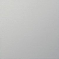 5554926 Gira Информационный модуль или модуль-заглушка 4-м. System 106