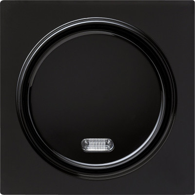 015347 Gira Кнопочный выключатель для малого напряжения до 42 В с подсветкой