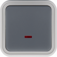 Donel W55 Переключатель 1-кл. накладной с подсветкой, серый, IP55, серия (тип) DIP55 , DIP30640