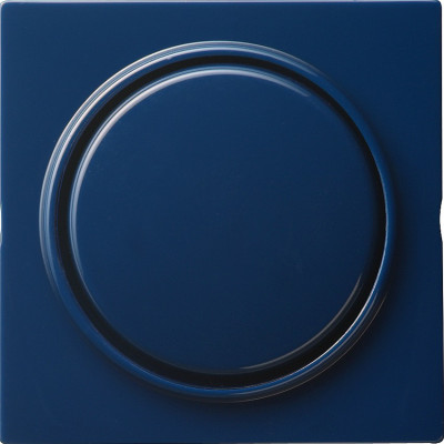 029646 Gira Клавиша одинарная