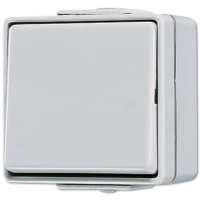 Проходной переключатель одноклавишный 10 A / 250 B, накладной монтаж, IP44, пружинные зажимы; серый; WG600, 606W