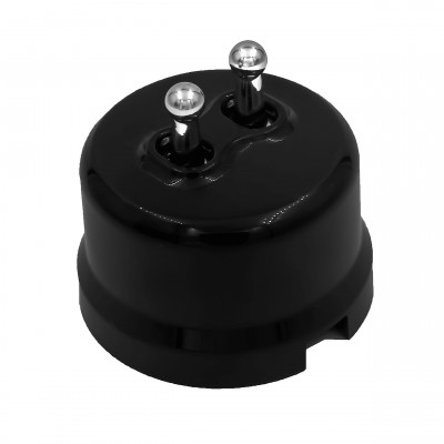 Bironi Кнопка (двухтумблерная), пластик, цвет Черный, Серебро, B1-232-23-S-PB