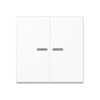 Двойная клавиша с окошками для балансирных механизмов выключателей (кнопок), в комплекте с AS90-5HP (крепежный элемент), возможно IP44; дюропласт; белый; A500, A595KO5WW