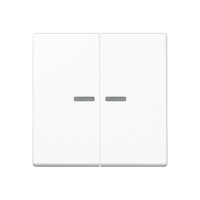 Двойная клавиша с окошками для балансирных механизмов выключателей (кнопок), в комплекте с AS90-5HP (крепежный элемент), возможно IP44; дюропласт; белый; A500, A595KO5WW