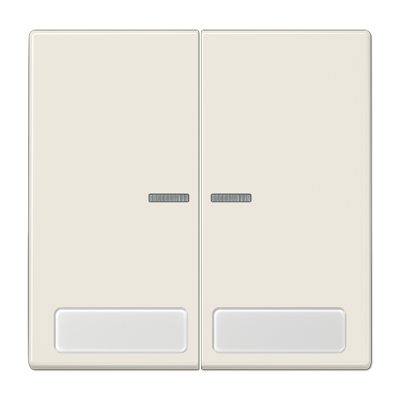 Клавиши для сдвоенной кнопки BCU;  поле для надписи, и индикатор, LS995NAKO5