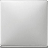 SD Клавиша 1-ная, стальн.