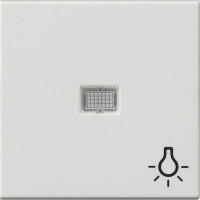 063027 Gira Клав с больш окном пикт-мой Свет