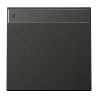 Клавиша с полем для надписи; антрацит, AL2990NAAN