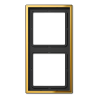 Рамка для вертикальной и горизонтальной установки, 2 поста; металл; покраска под золото; GO, GO2982