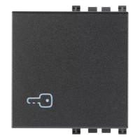 Vimar Клавиша на 2 модуля с симв "ключ", серая, 19022.P Vimar Клавиша на 2 модуля с симв "ключ", серая, 19022.P