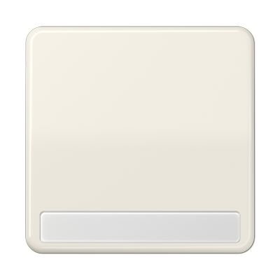 Клавиша для выключателя и кнопки, с полем для надписи; слоновая кость, CD590NABF