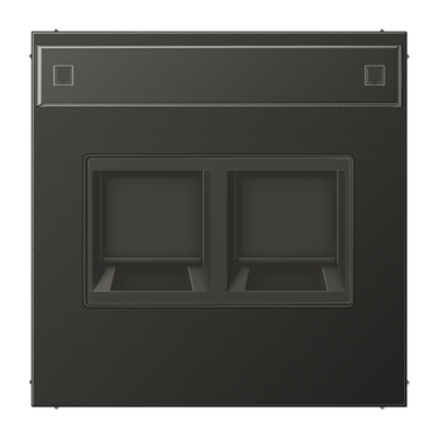 Плата (фиксация защёлкиванием) с полем для надписи для двух модулей; металл; антрацит, AL1969-2NAWEAN