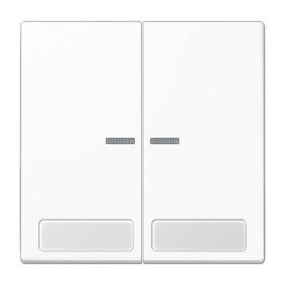 Клавиши для сдвоенной кнопки BCU;  поле для надписи, и индикатор, LS995NAKO5WW