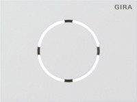 5579902 Gira Передняя панель модуля дверной станции System 106