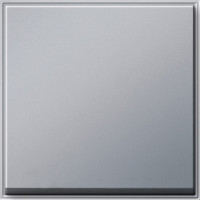 029665 Gira Клавиша одинарная