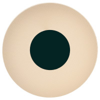 Настенный светильник VENUS 8011 Настенный светильник VENUS 8011