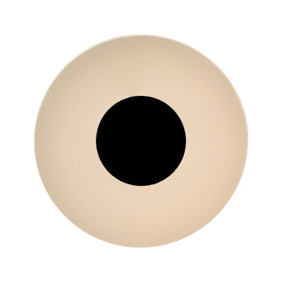 Настенный светильник VENUS 8011