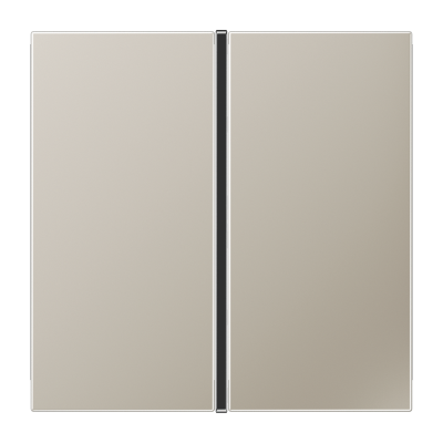 Клавиши для системы KNX, 1-группа; благородная сталь, ES2401TSA