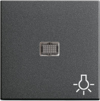 063028 Gira Клав с больш окном пикт-мой Свет