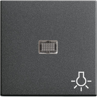 063028 Gira Клав с больш окном пикт-мой Свет