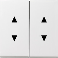 1150112 Gira Двойные клавиши с двойными стрелками