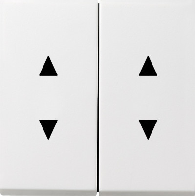 1150112 Gira Двойные клавиши с двойными стрелками